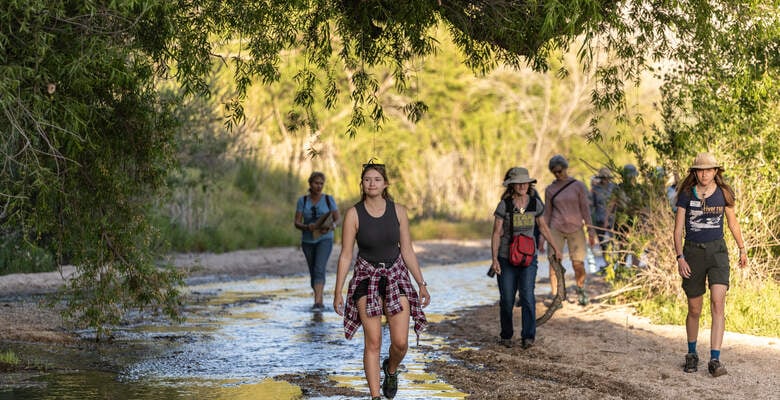 River Run Network Clean Up & Arundo Removal: Pantano Near Fort Lowell Park
